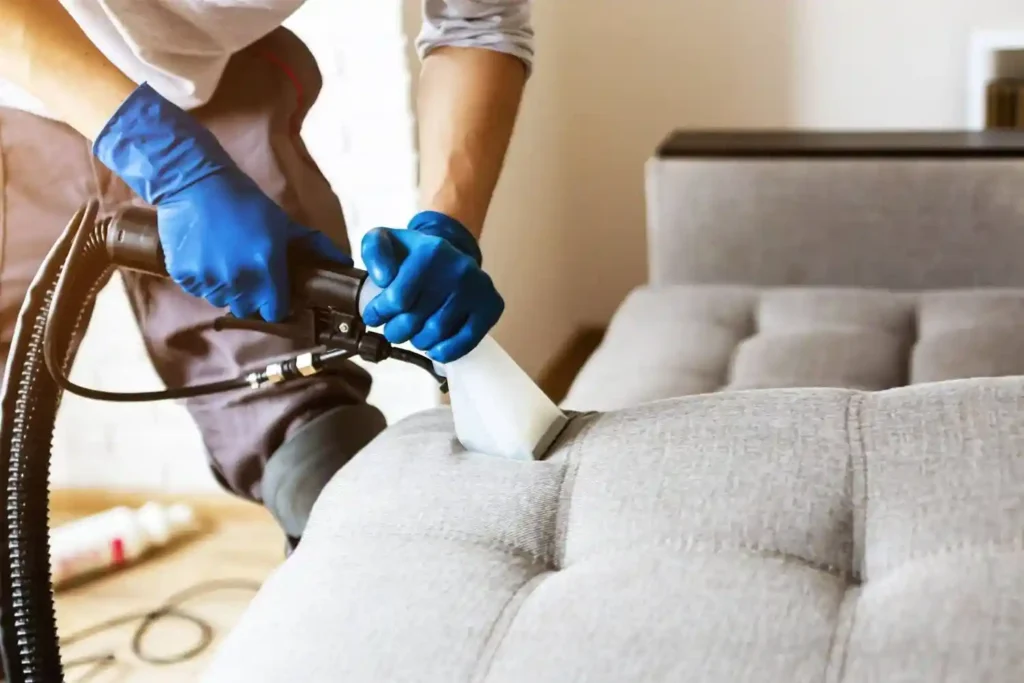 Importance of Upholstery Cleaning