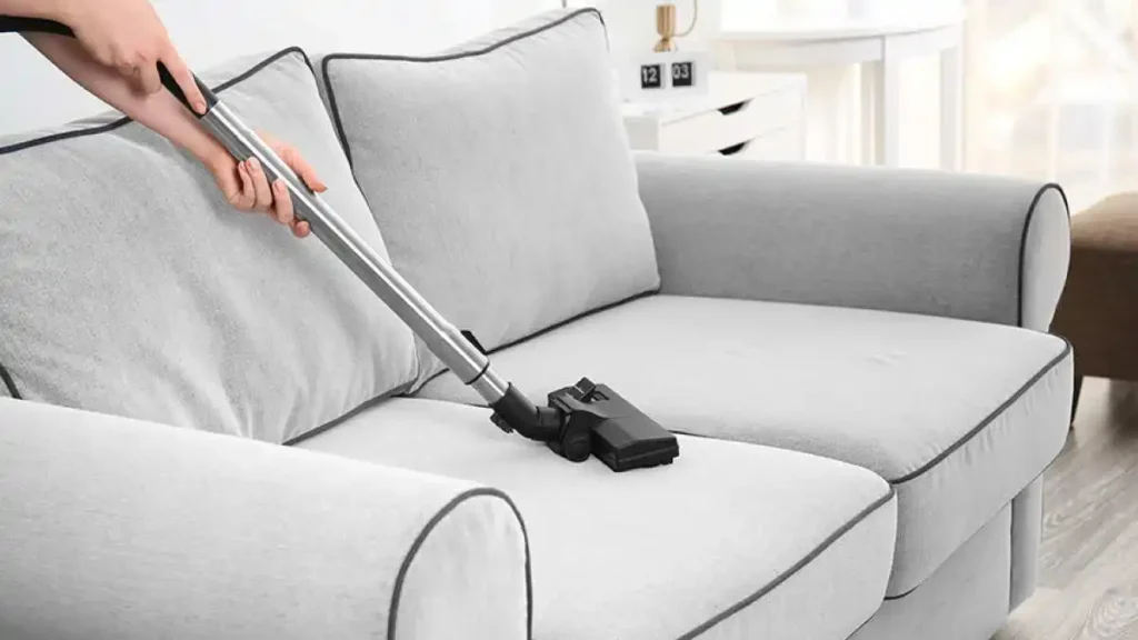 Importance of Upholstery Cleanings