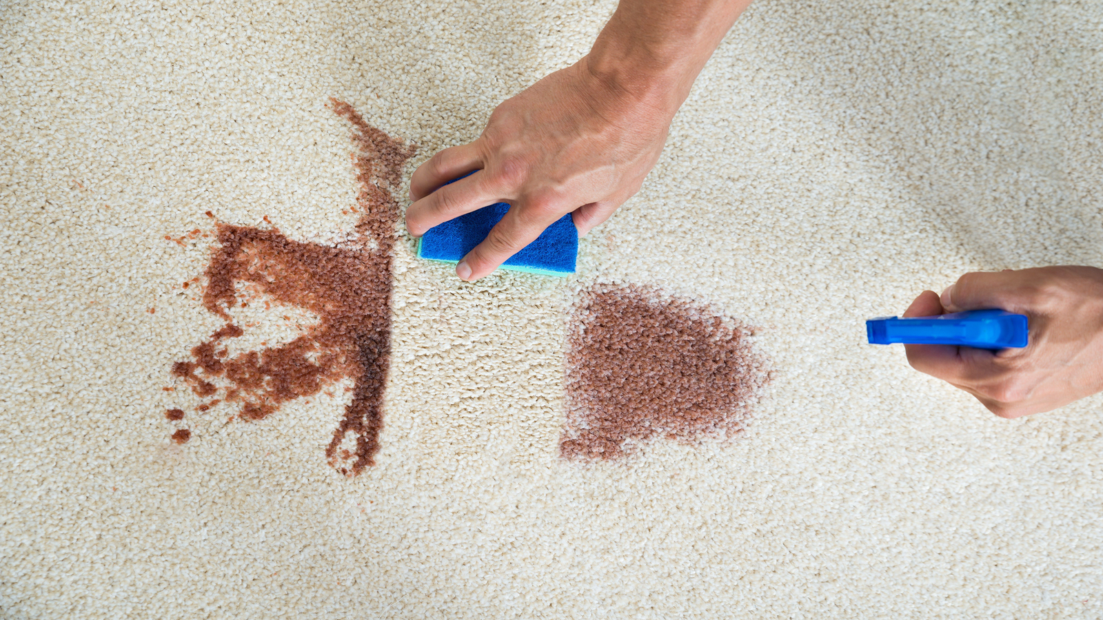 Carpet Cleaning and Stain Removal in Plantation